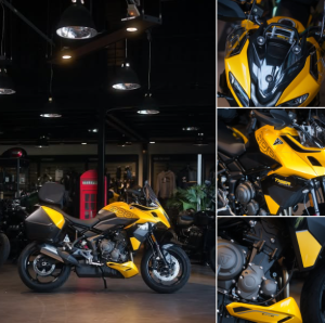 La nouvelle Tiger Sport 800 est à découvrir chez votre concessionnaire Triumph